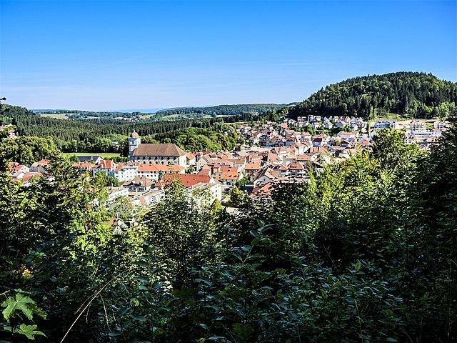 Maîche/immobilier/CENTURY21 L'immobilier Nouveau/Maîche vue de la chapelle des anges