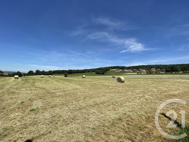 Afficher la photo en grand terrain à vendre - 570.0 m2 - CHAMESOL - 25 - FRANCHE-COMTE - Century 21 L'Immobilier Nouveau