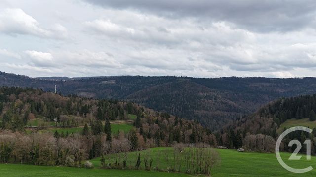 maison à vendre - 10 pièces - 643.0 m2 - CHARMAUVILLERS - 25 - FRANCHE-COMTE - Century 21 Avenir Immobilier