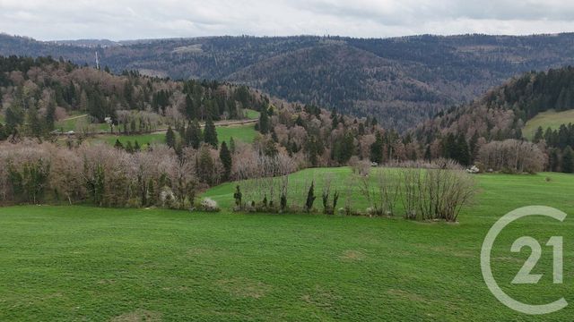 maison à vendre - 10 pièces - 643.0 m2 - CHARMAUVILLERS - 25 - FRANCHE-COMTE - Century 21 Avenir Immobilier